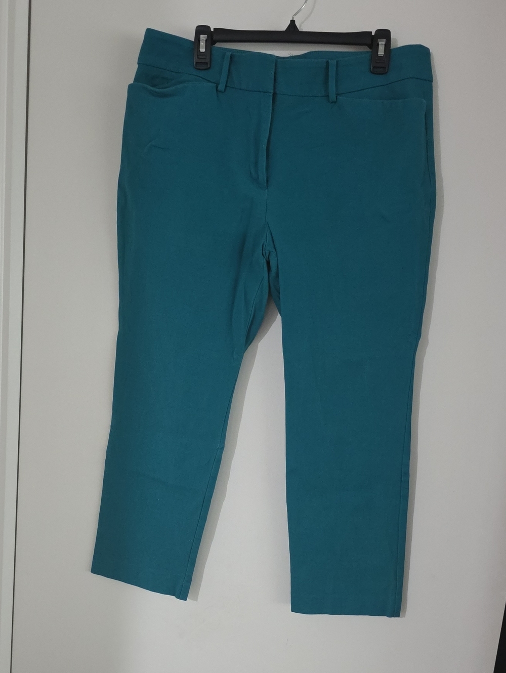 Ann Taylor Factory Teal Cropped Pants